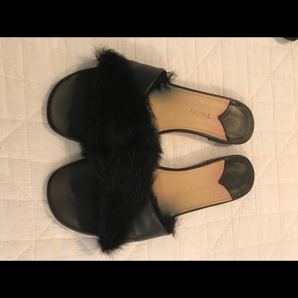 Lea Fur Theory Slides